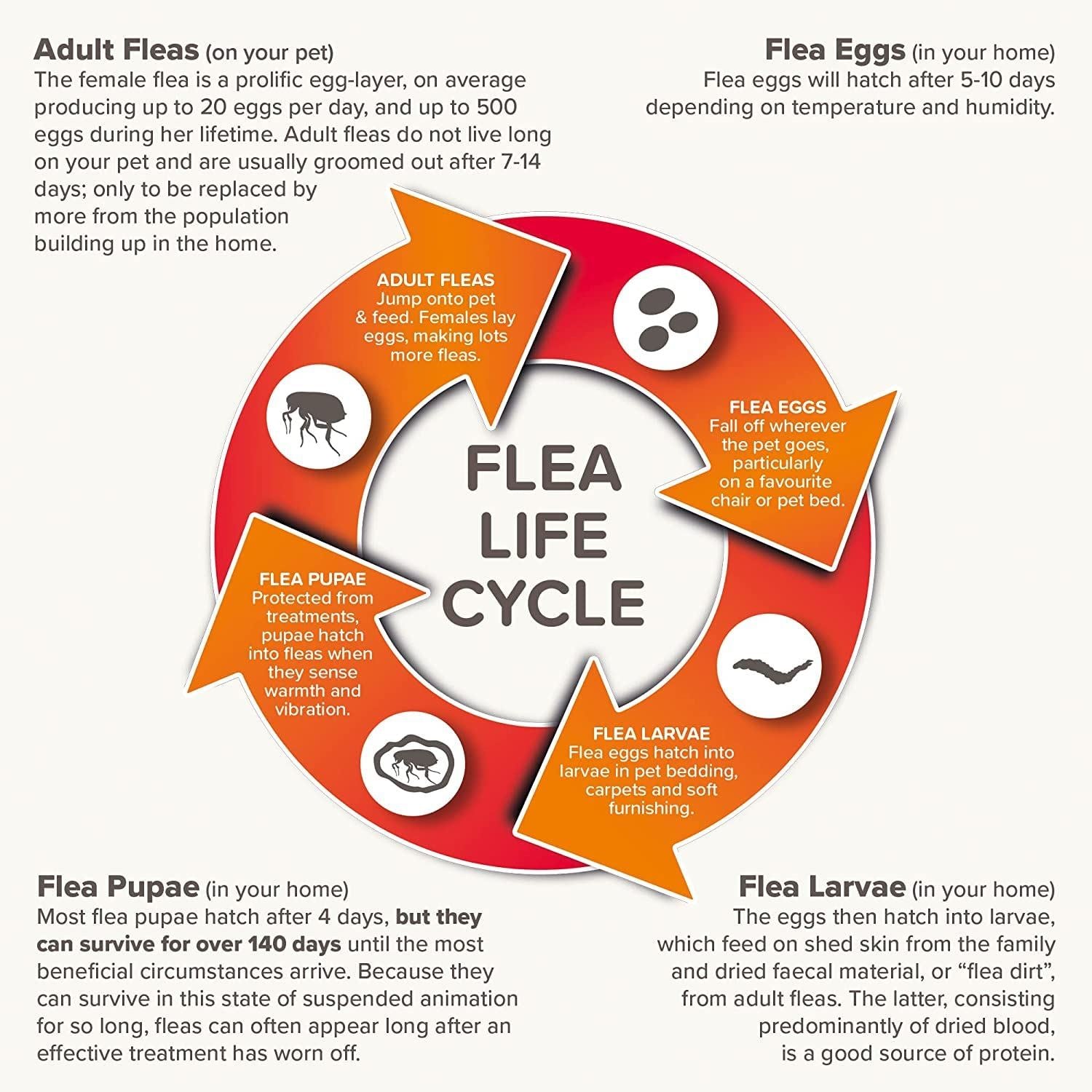 BEAPHAR Spot On Flea Tick Treatment CAT & DOG S M L XL - 1 4 6 Pipettes FIPROTEC