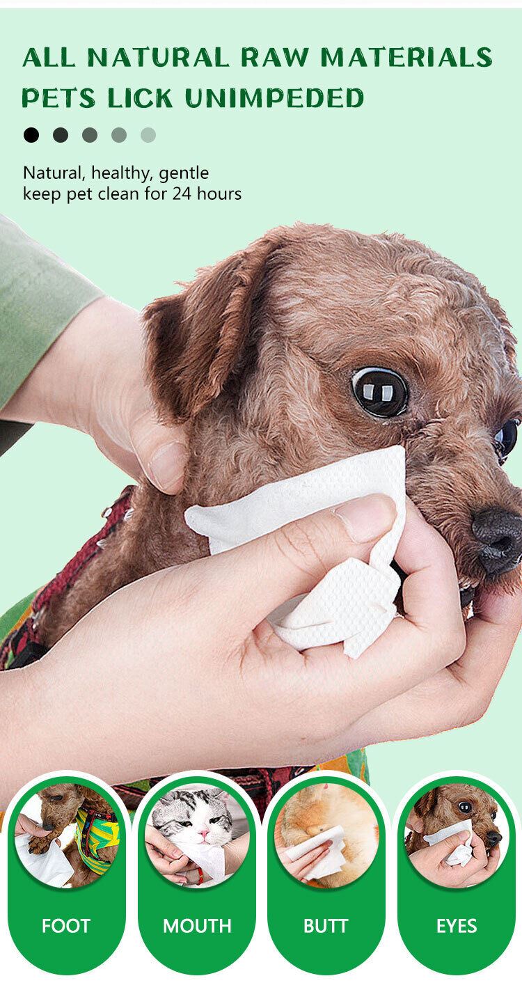 Dog Cleaning Wipes Dog Cat Pet Ear Mouth Paw 100% BIODEGRADABLE Pack Of 25 & 100