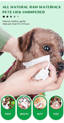 Dog Cleaning Wipes Dog Cat Pet Ear Mouth Paw 100% BIODEGRADABLE Pack Of 25 & 100
