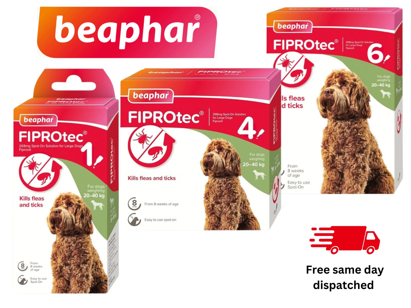 BEAPHAR Spot On Flea Tick Treatment CAT & DOG S M L XL - 1 4 6 Pipettes FIPROTEC