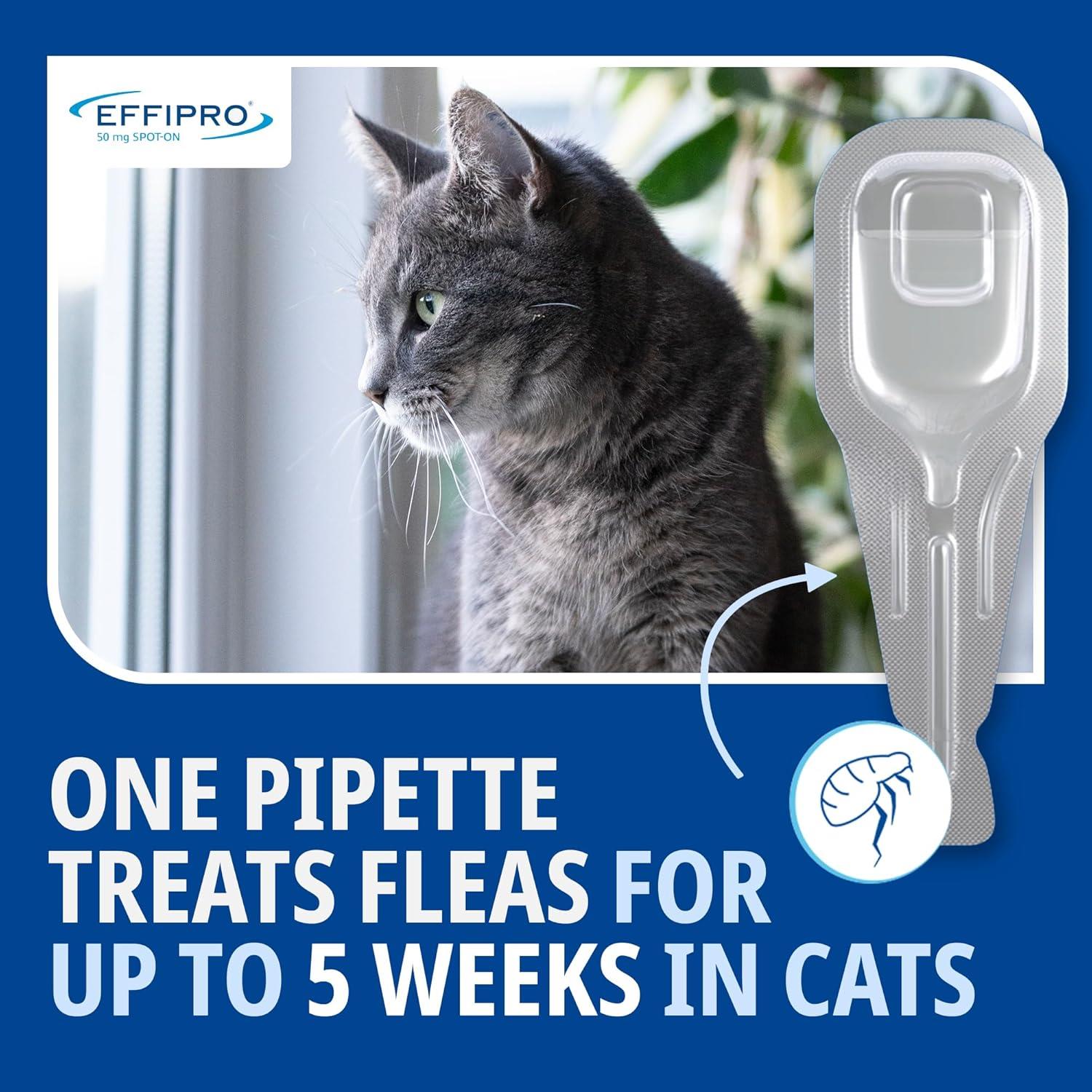 Effipro Spot On Flea Treatment AVM-GSL For Pets Cats & Dogs 4 Pipettes With Fipronil