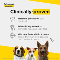 Advantage Chewable Flea and Tick Protection for Dogs