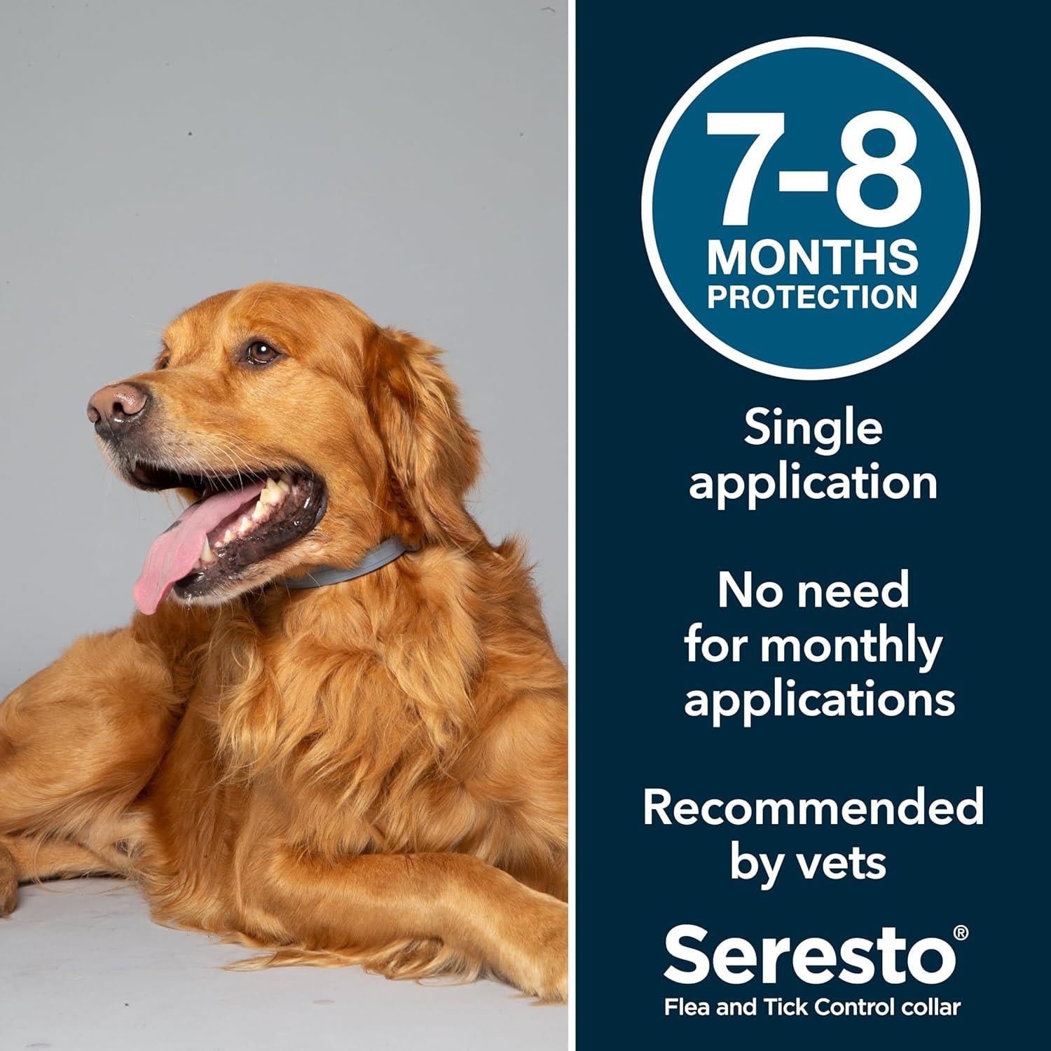Seresto Cat Dog Flea Collar With Tick Control Adjustable 8 Month Protection, 1 Collar