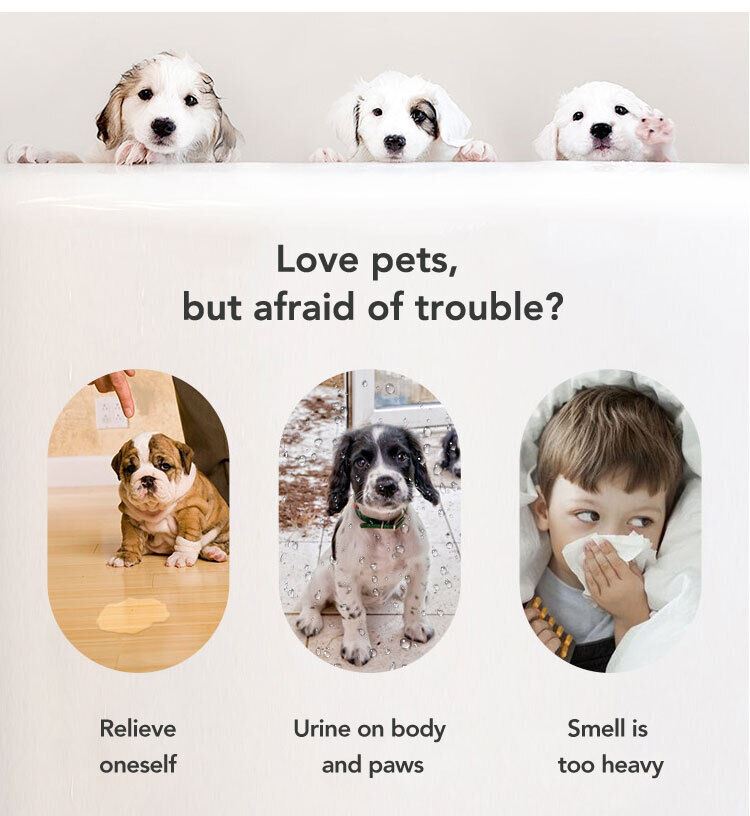 Large Puppy Training Trainer Train Pads Toilet Pee Wee Poo Dog Pet Cat Mats UK..