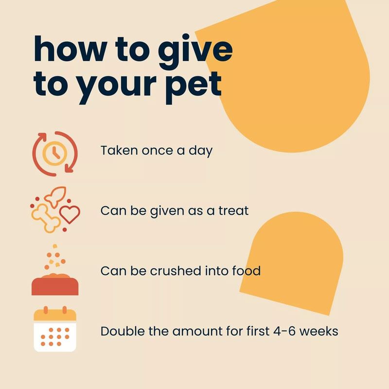 Seraquin Veterinary Joint Supplement with Turmeric for Cats & Dogs 60 Tablets UK