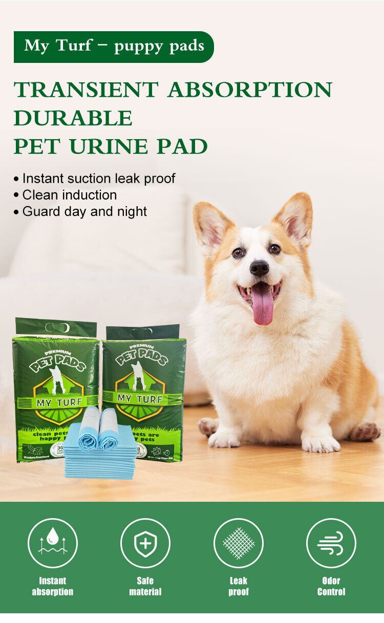 Large Puppy Training Trainer Train Pads Toilet Pee Wee Poo Dog Pet Cat Mats UK..