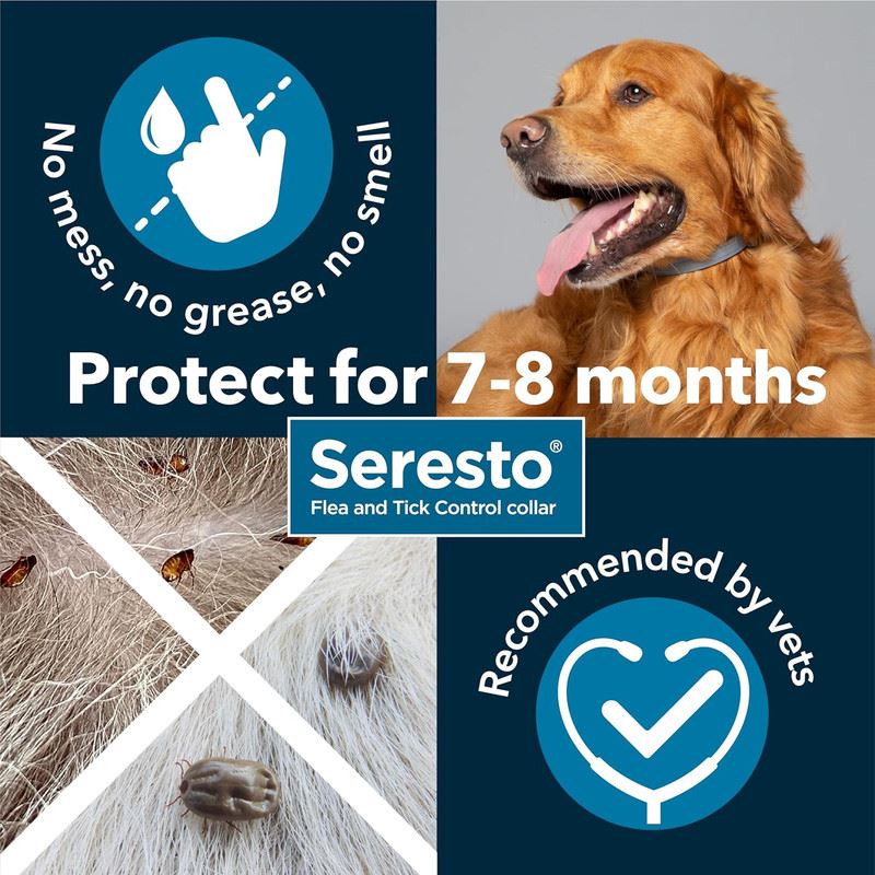 Seresto Cat Dog Flea Collar With Tick Control Adjustable 8 Month Protection, 1 Collar