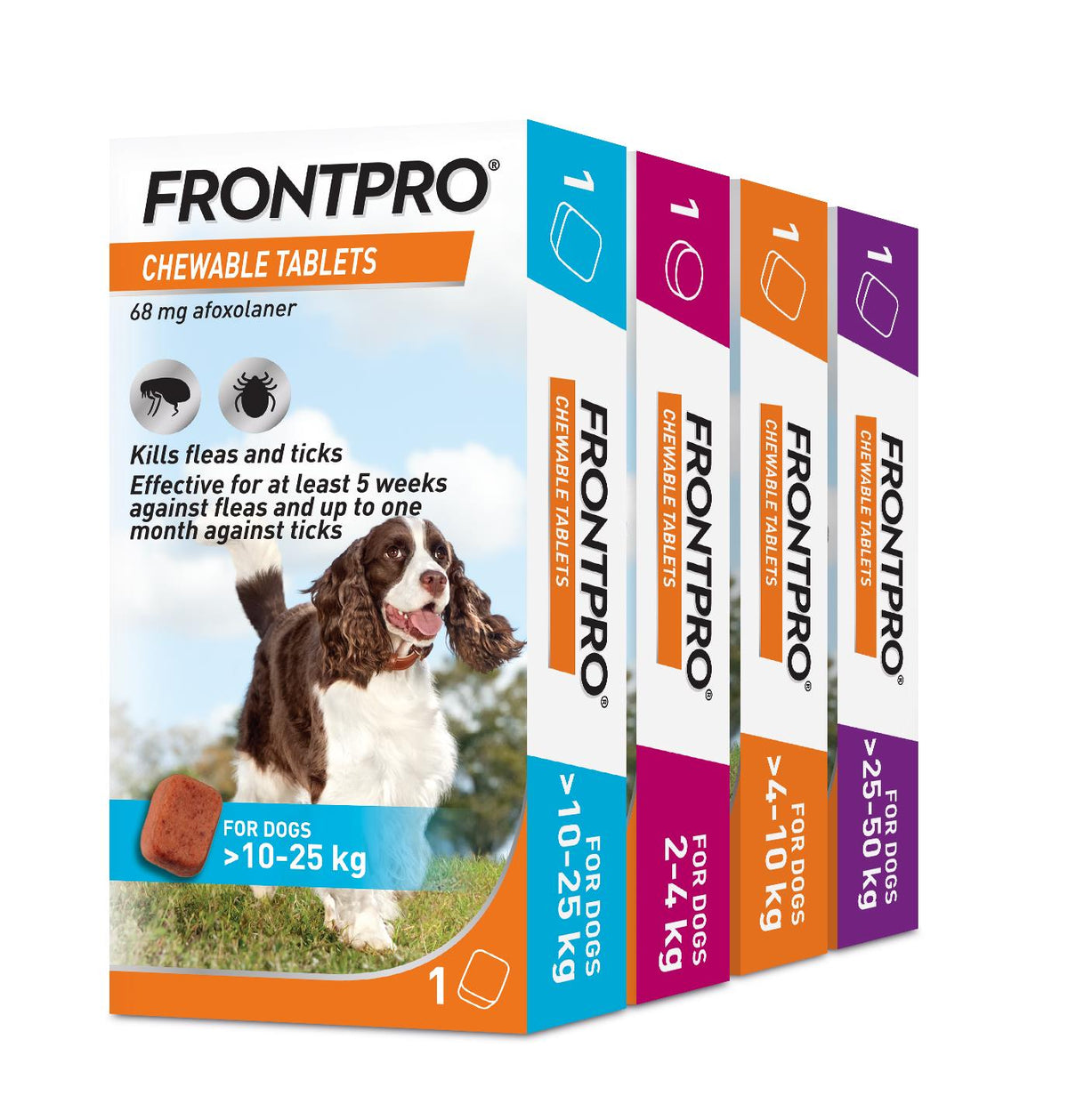 FRONTPRO Flea and Tick Chewable Tablets for Dogs Fast-Acting For S M L XL Dogs