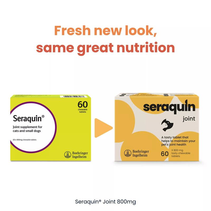 Seraquin Veterinary Joint Supplement with Turmeric for Cats & Dogs 60 Tablets UK