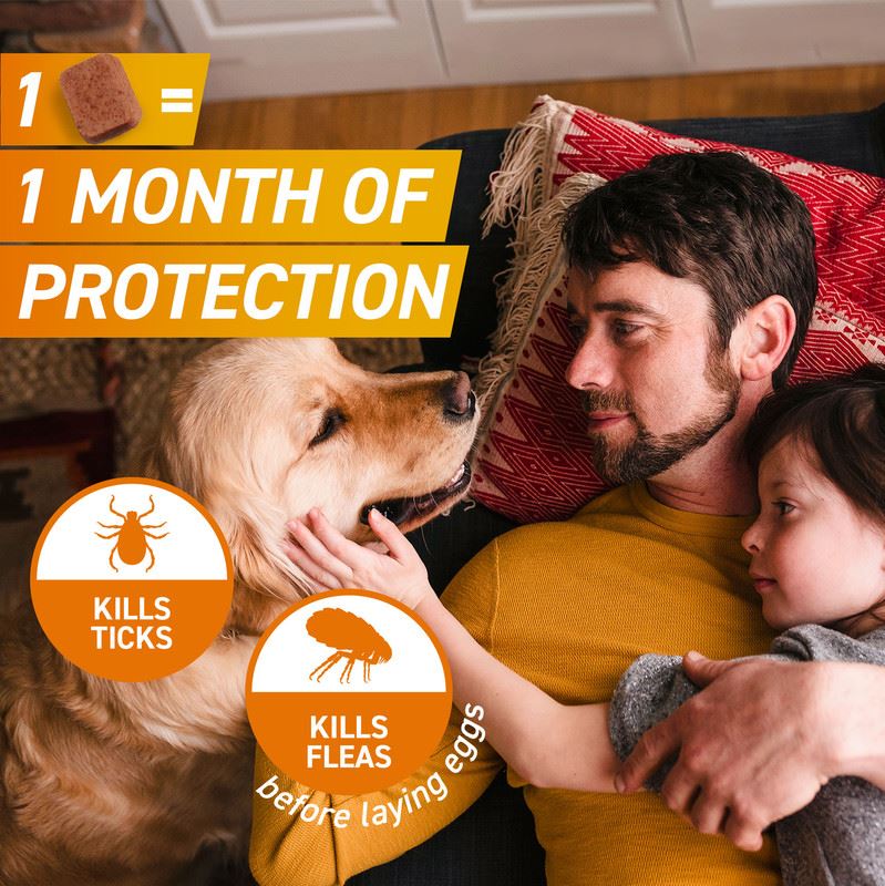 FRONTPRO Flea and Tick Chewable Tablets for Dogs Fast-Acting For S M L XL Dogs