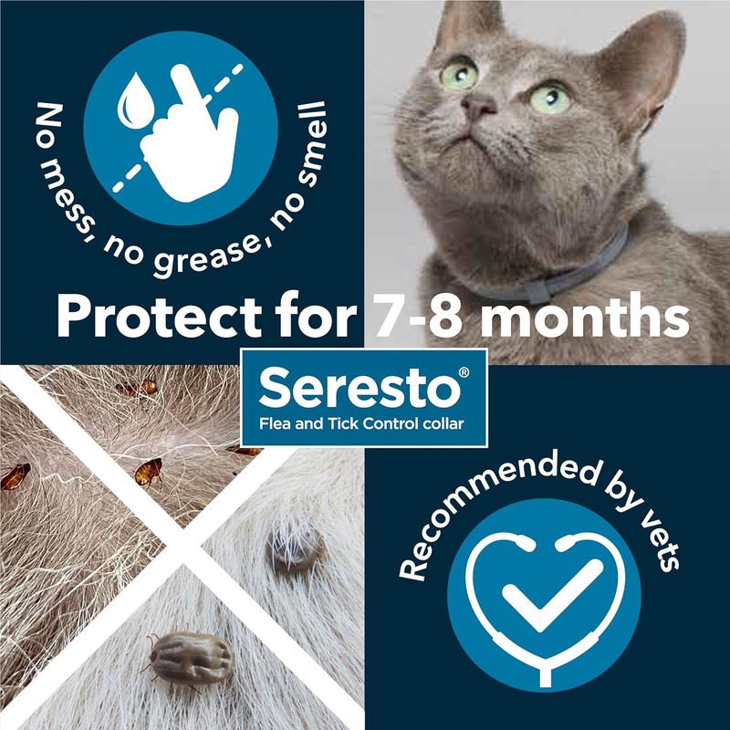 Seresto Cat Dog Flea Collar With Tick Control Adjustable 8 Month Protection, 1 Collar