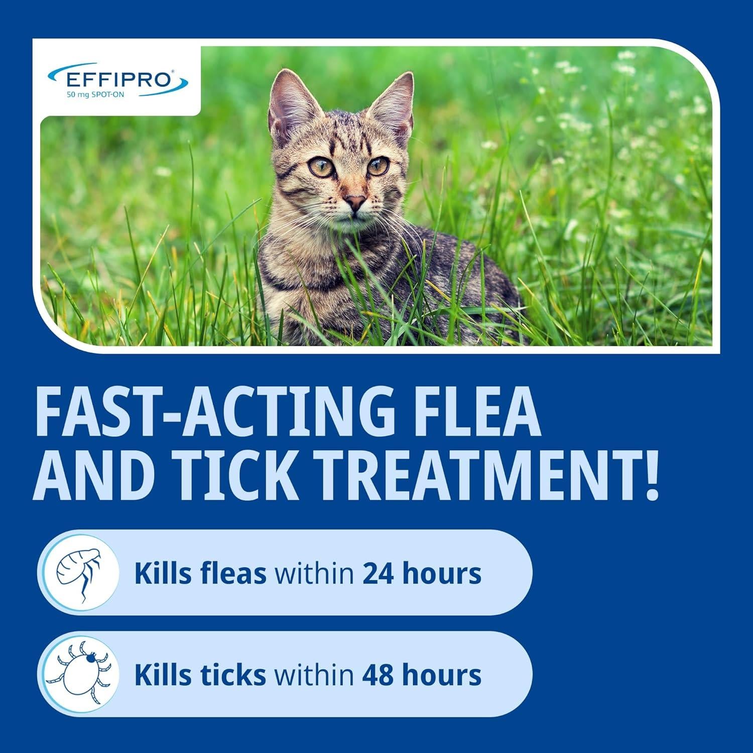 Effipro Spot On Flea Treatment AVM-GSL For Pets Cats & Dogs 4 Pipettes With Fipronil