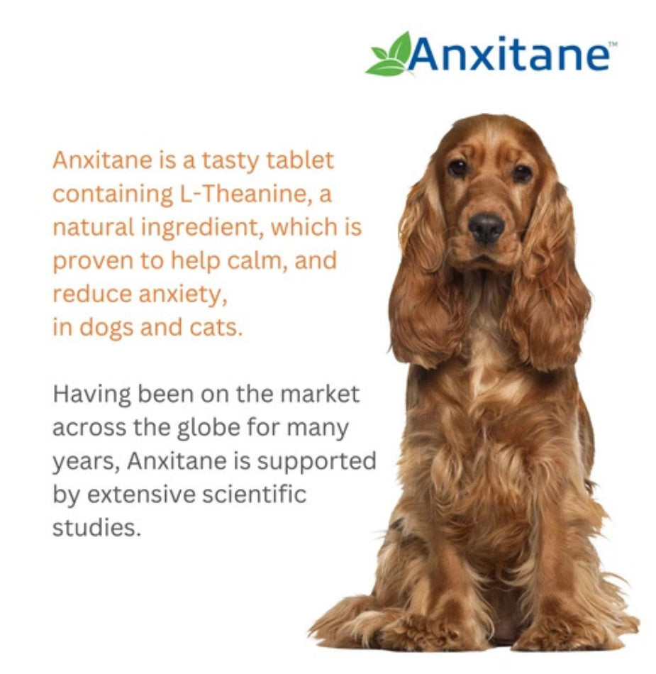 Anxitane Dog Calming Anxiety Stress Relief 30 Chewable Tablets For Dogs, Cats | Behaviour & Calming