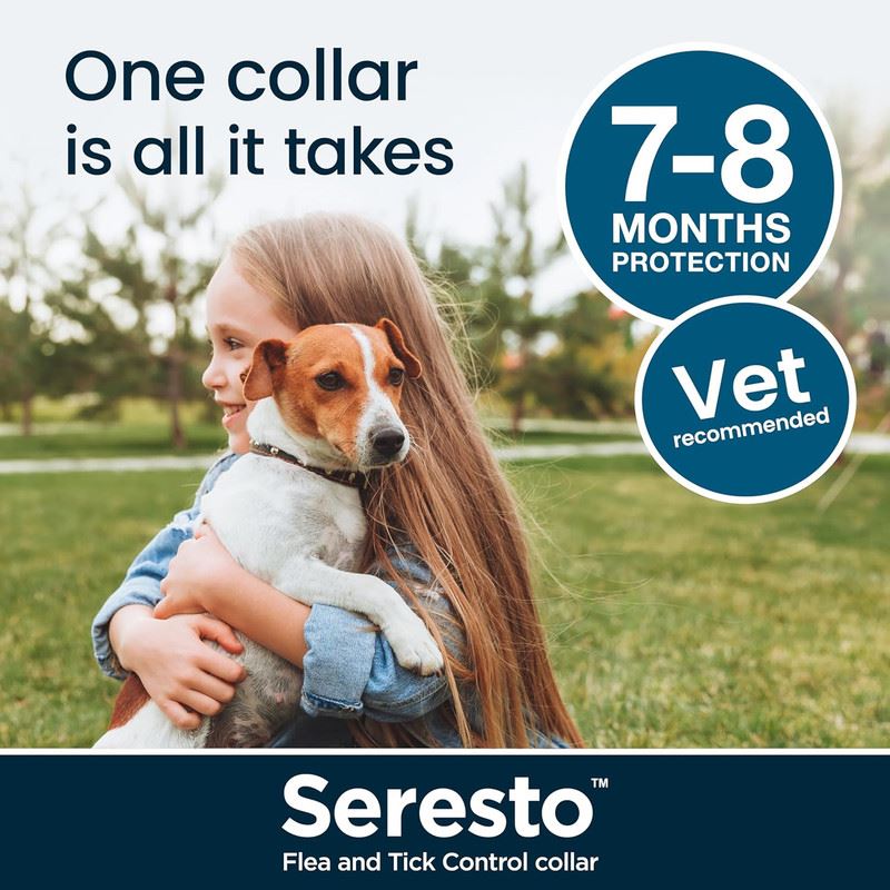 Seresto Cat Dog Flea Collar With Tick Control Adjustable 8 Month Protection, 1 Collar