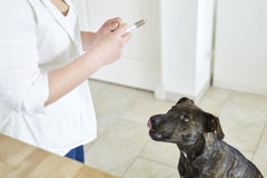 Pronefra Kidney Function Oral Suspension Support for Dogs and Cats 60ml 180ml Bottle