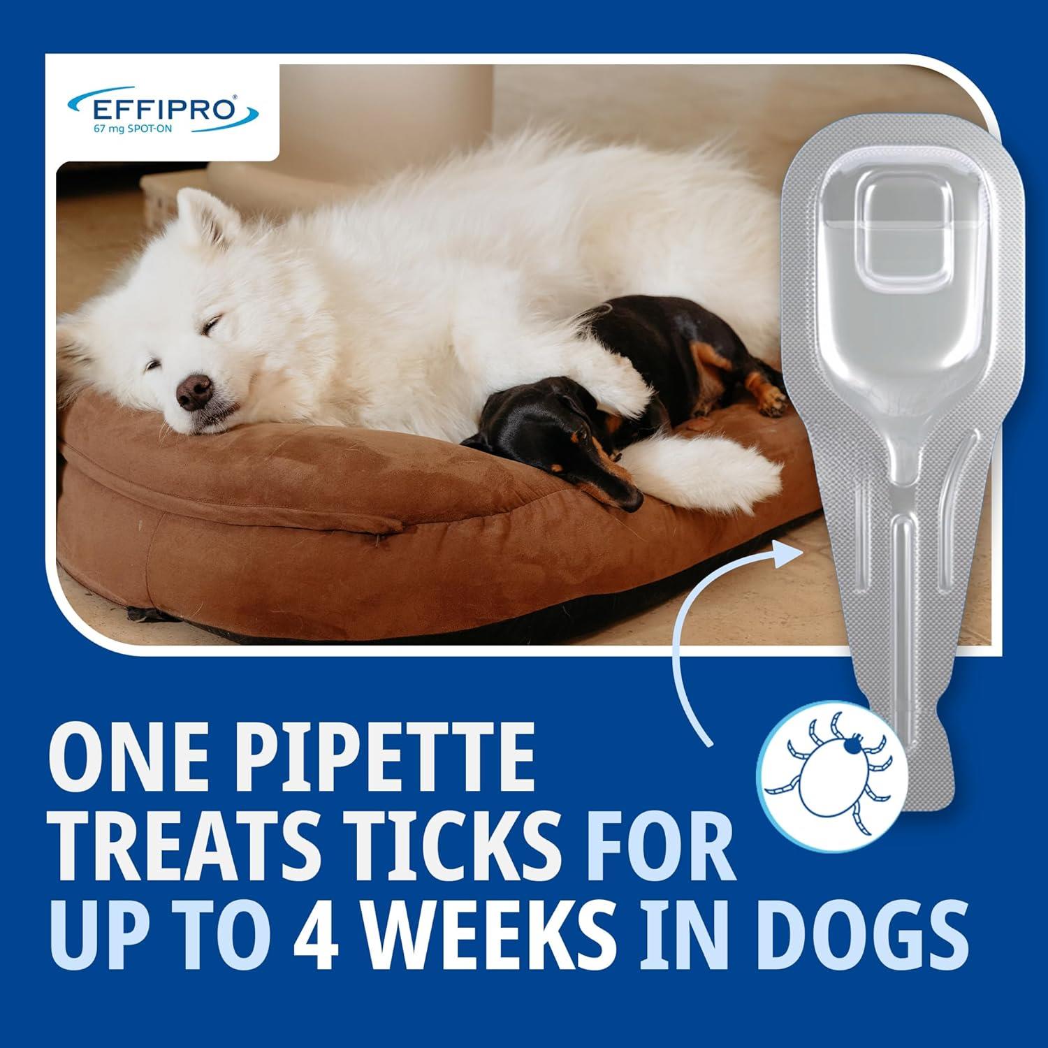 Effipro Spot On Flea Treatment AVM-GSL For Pets Cats & Dogs 4 Pipettes With Fipronil