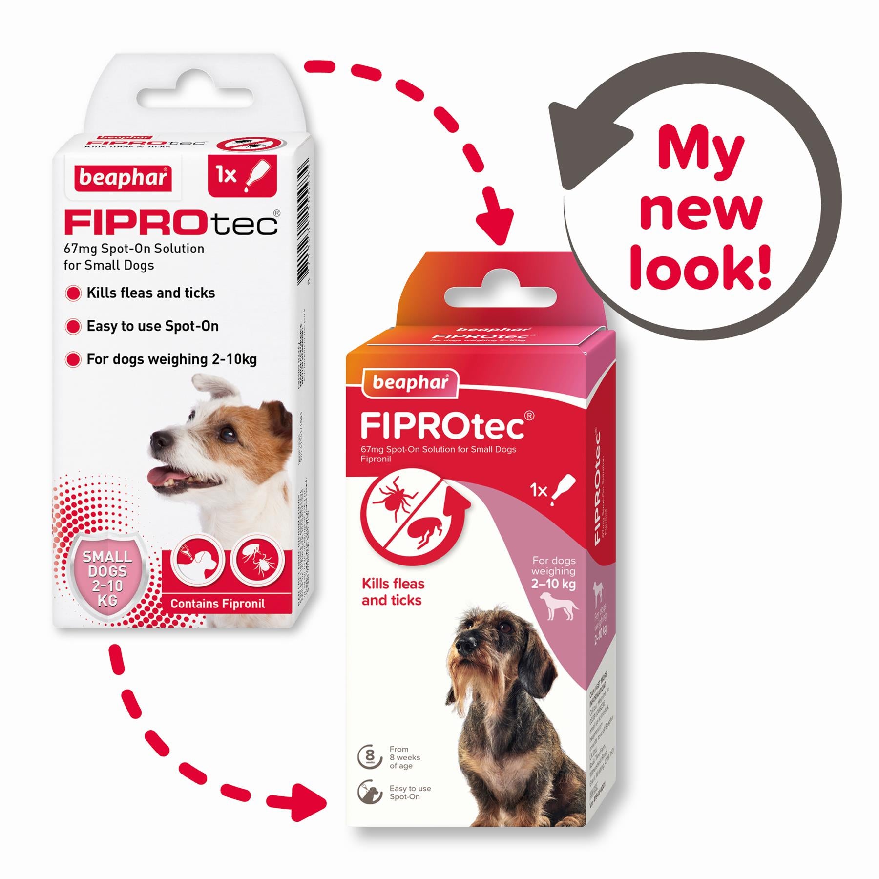 BEAPHAR Spot On Flea Tick Treatment CAT & DOG S M L XL - 1 4 6 Pipettes FIPROTEC