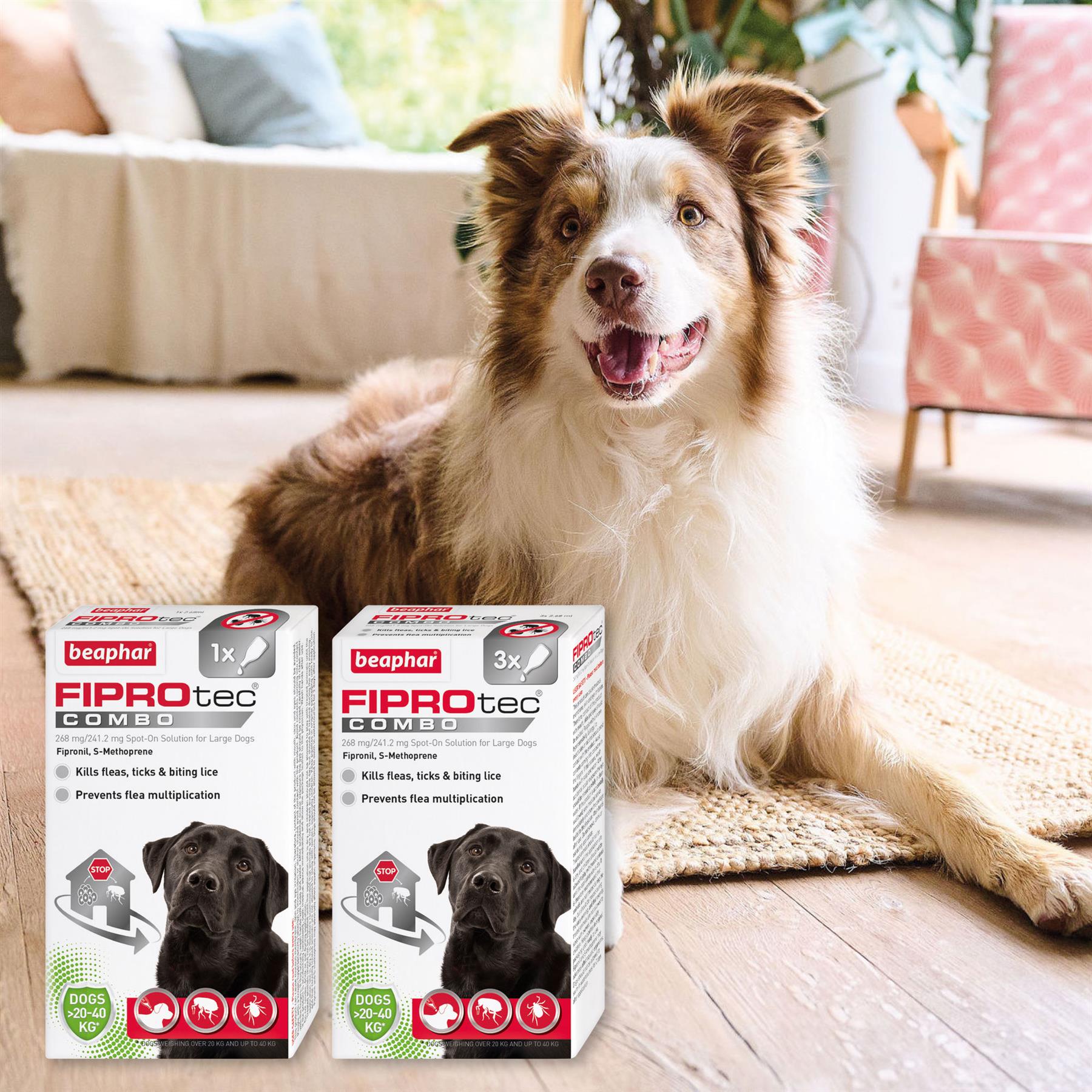 Beaphar FIPROtec COMBO Dog/Cat Flea and Tick Treatment Spot On Solution Effectiv