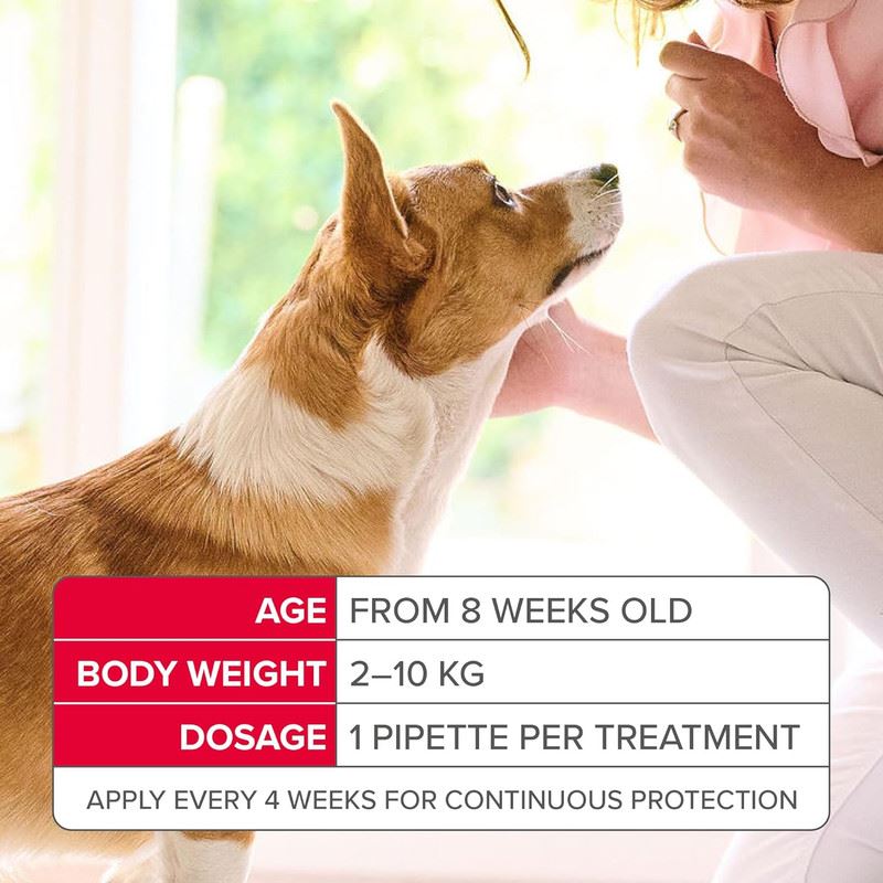 Beaphar FIPROtec COMBO Dog/Cat Flea and Tick Treatment Spot On Solution Effectiv