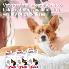 Beaphar FIPROtec COMBO Dog/Cat Flea and Tick Treatment Spot On Solution Effectiv