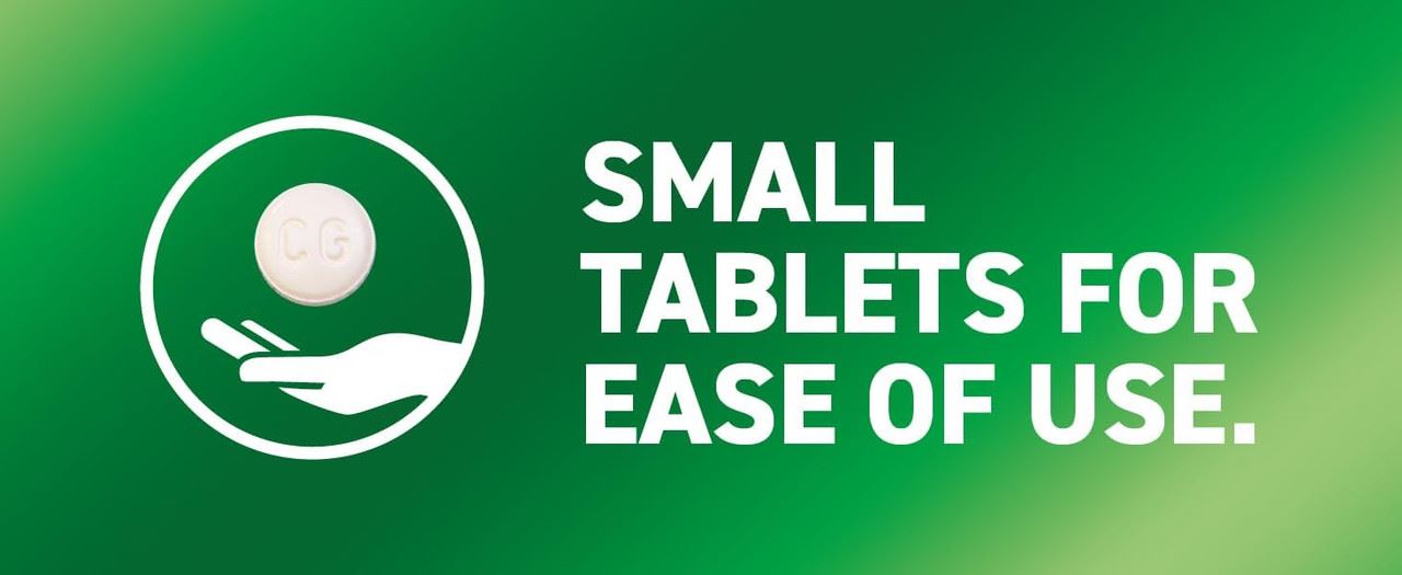 Capstar Flea Treatment Tablets for Dogs over 11kg Kills Fleas Fast 6 Tablets